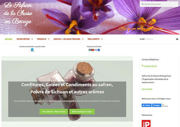 Création site ecommerce à Bressuire